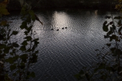 miseenscene-photography-father_s-journey-007
