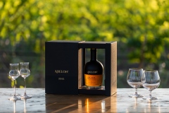 miseenscene-corporate-photography-abelon-001