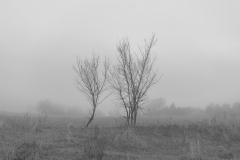 miseenscene-photography-monochrome-002