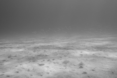 miseenscene-photography-monochrome-005
