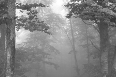 miseenscene-photography-monochrome-006