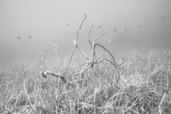 miseenscene-photography-monochrome-008