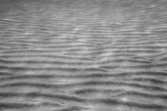 miseenscene-photography-monochrome-010