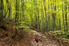 miseenscene-photography-mountain-005